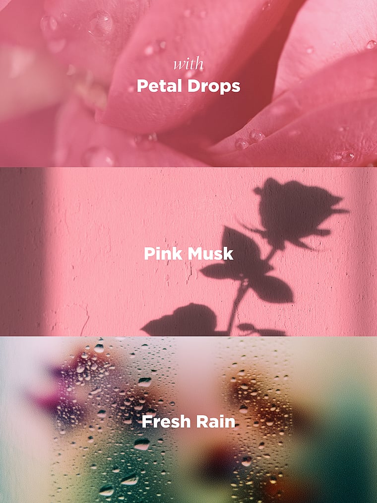 Midnight Vanilla Pre-Scented Air Freshener image number null