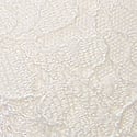 Lace Lightly Lined Classic Coverage Demi Bra, Coconut White, swatch