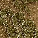 Lace Thong Panty, Green Chameleon, swatch