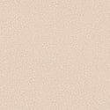 No-Show Thong Panty, Champagne, swatch