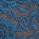 Blossom Lace Cheeky Panty, Midnight Sea, swatch