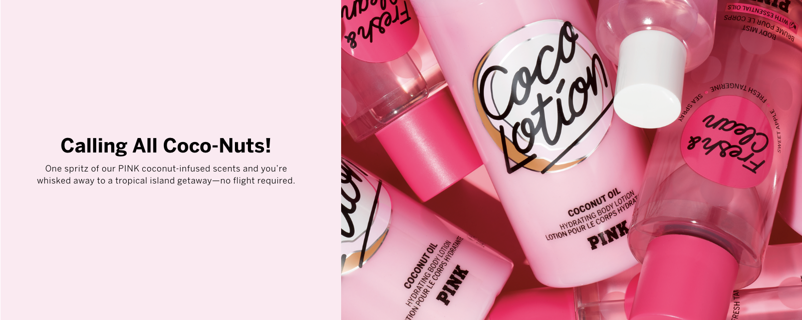 Body Washes & Scrubs PLP banner