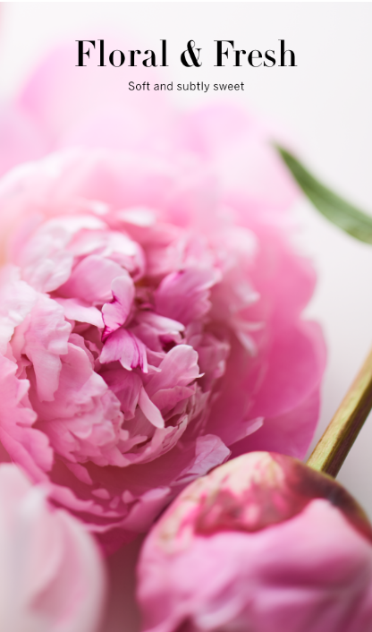 Sweet Gourmand Scent tile